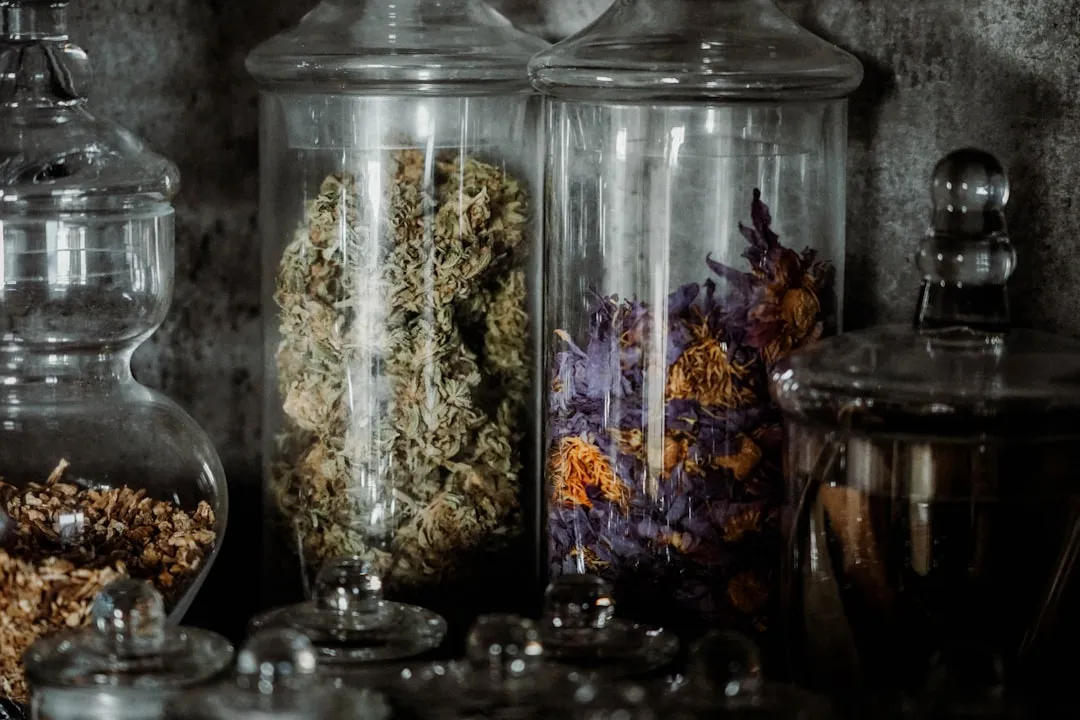 膜结构遮阳棚在商业广场中的应用案例与设计思路解析